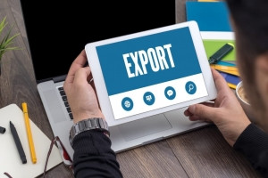 Exporters Oppose COVID Crisis: the Strongest Survive