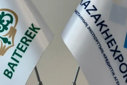 Негізгі жетістіктер мен болашаққа жоспарлар: KazakhExport 2024 жылды рекордтық көрсеткішпен аяқтағалы отыр