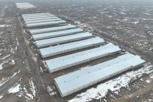Қазақстандағы құс етін өндіру және өңдеу бойынша ірі зауыттың бірі жұмысын бастады