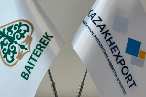 Негізгі жетістіктер мен болашаққа жоспарлар: KazakhExport 2024 жылды рекордтық көрсеткішпен аяқтағалы отыр