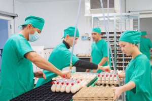 Обработанная продукция — основной источник дохода