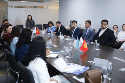 哈萨克斯坦出口信用机构与吉尔吉斯斯坦国家保险机构分享经验