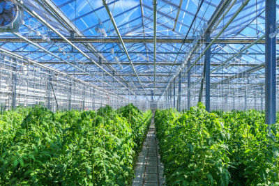 KazakhExport предоставил страховую защиту Green Capital Kazakhstan 